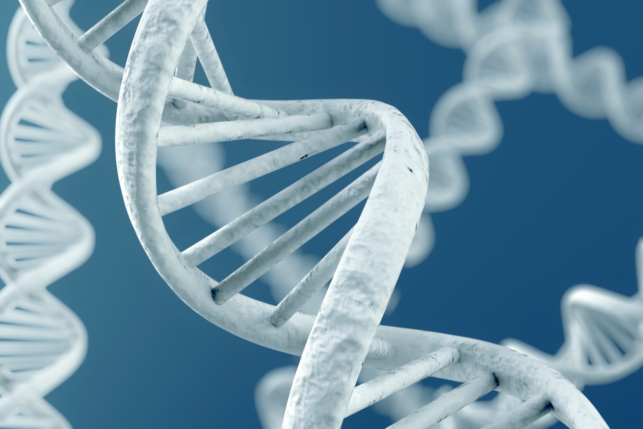 STEM Genetics