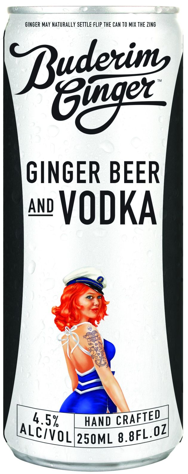 Alcoholic-Ginger-Beer-and-Vodka-High-Res1