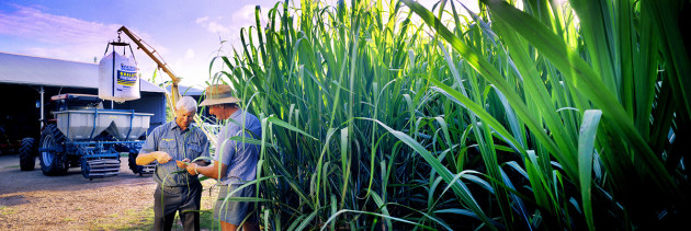 “This was an Annual Report shot for Incitec.The core message was of a healthy looking crop and a sales rep talking to the farmer. I’d consider it a commercial photograph. It’s not been shot to a layout but when you look at the photograph, there should be no doubt regarding what the story is about. If you cropped all that balance off the right hand side and just went to the two farmers holding a chunk of green with a big bag of Incitec above their head, it doesn’t really help what we’re talking about!” explains Ross Eason. Art Panorama Camera, 6 x 17cm colour transparency, 90mm lens.