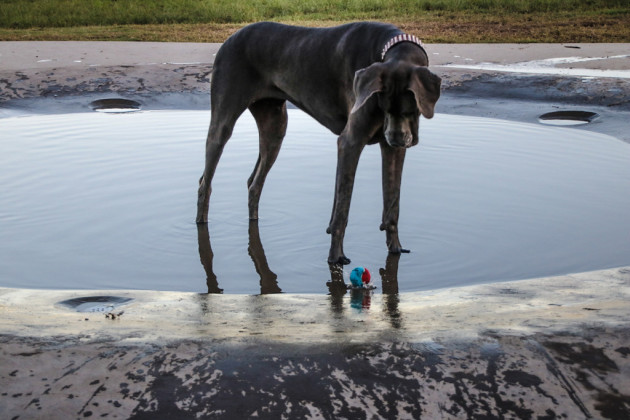 'Focus' by Leandro Mantovani