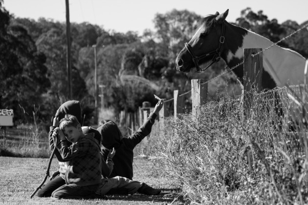 Horse and the Kids © Noah