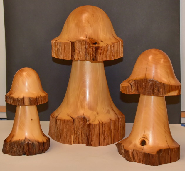 WoodRevisited2016-Mushrooms-from-Huon-Pine1