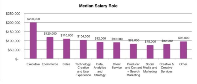 AIMIA digital salary 2016 chart 3