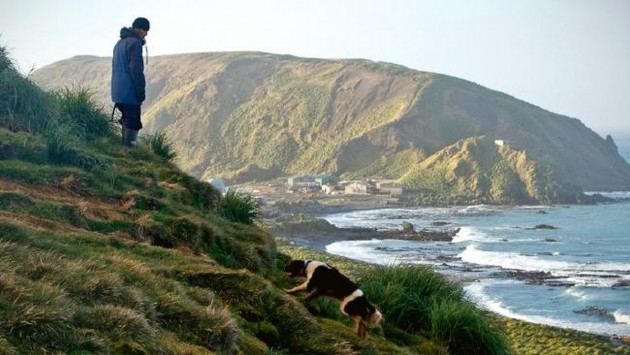 Macquarie Island Rabbit Hunt. Image Steve Austin