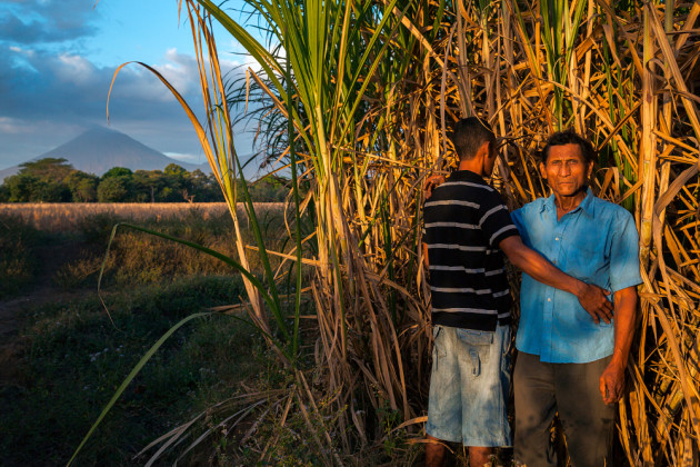 Walter Arsenio Rivera, 29, poses with his father, Antonio Arsenio Rivera, 58, in the cane fields of Chichigalpa, Nicaragua on Jan. 6, 2013. Both men suffer from chronic kidney disease. © Ed Kashi/VII Photo