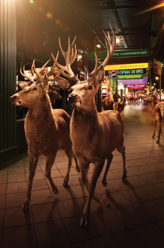Tooheys Extra Dry. Retouching: Electric Art. Agency: BMF Sydney. © Stephen Stewart.