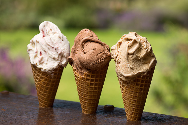 The_Pines_case-study_41