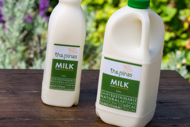 The_Pines_case-study_51