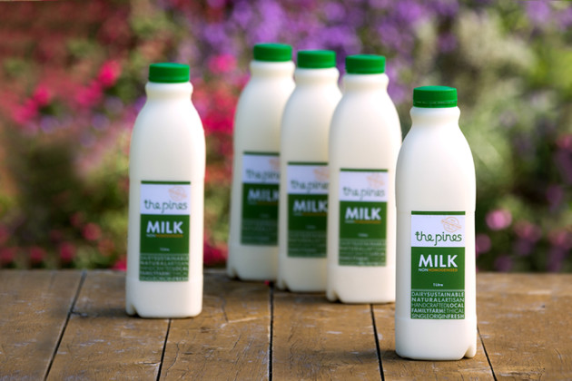 The_Pines_case-study_61