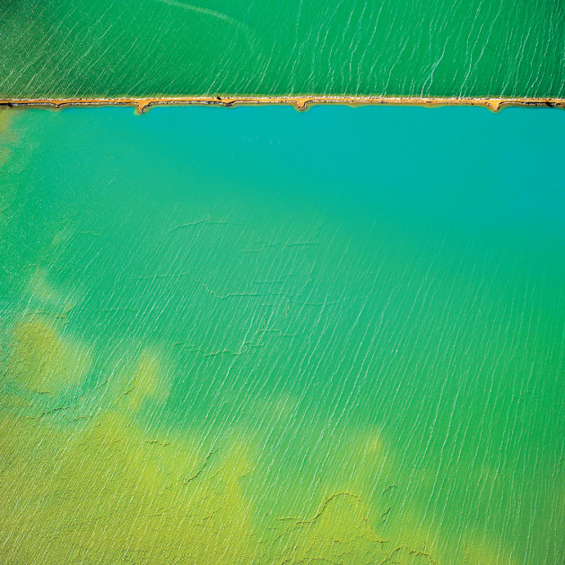 Salt Lake Green II, 2013. Shark Bay area, WA. © Tony Hewitt.