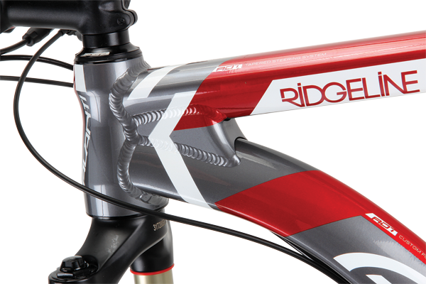 Beefy tubes and big gussets—this is one solid XC bike!