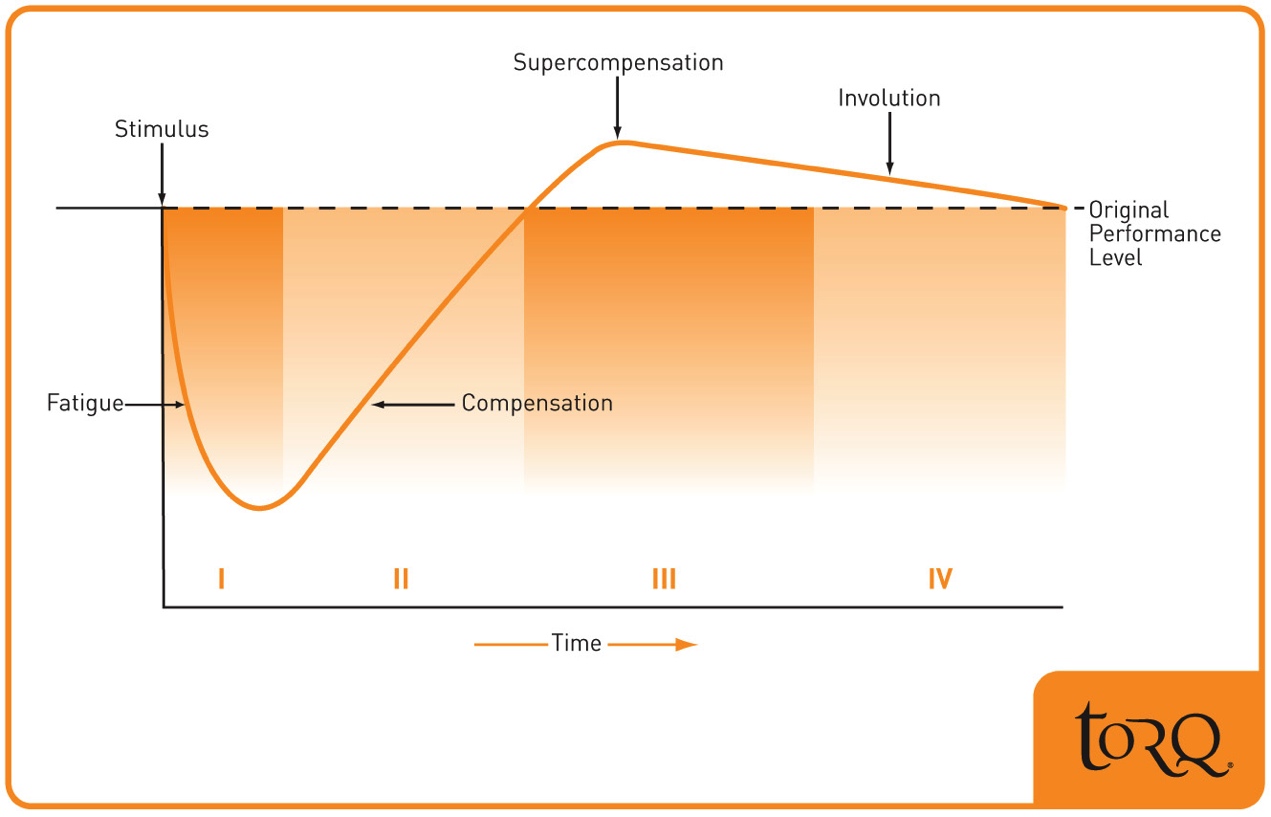 Figure taken from Tudor O Bompa. Periodization. Fourth Edition. Human Kinetics (1999)