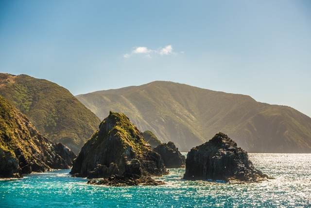 The ferry trip t o the South Island offers amazing views.