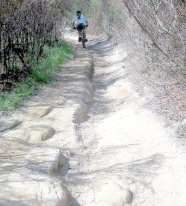This an example of the damage caused by wet weather riding. Once the ruts form, the water follows the track which accelerates the process. It can also cause track widening as multiple lines form.
