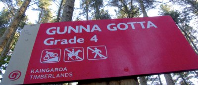 No hiding these trails-they add over five million dollars per annum to Rotorua's economy.