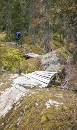 While options exist for all abilities, steep and technical is where it's at in Whistler-even on the XC trails.