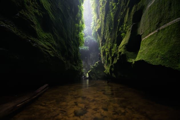 The “Green room” in Claustral is one of the most amazing sections of canyon in the Blue Mountains. Here, a light beam lights up the ferns on either side of the slot. Nikon D800, 16-35mm f/4 lens, 1/8s @ f5, ISO 400.