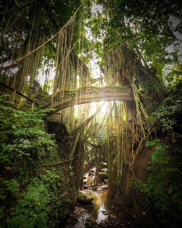 Ancient Bridge by Christopher Maxwell