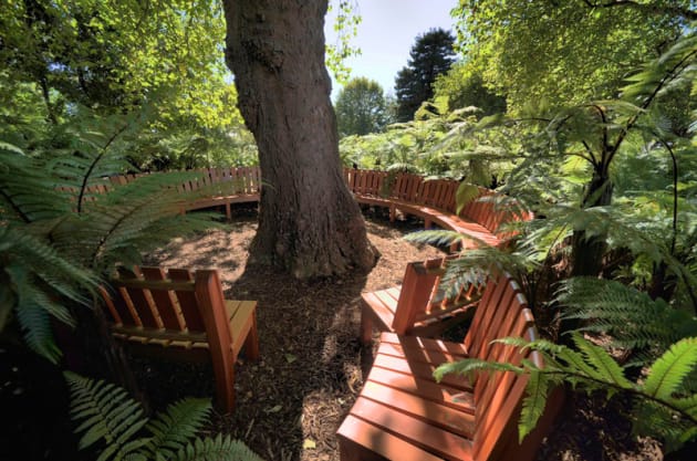 Bench-in-situ-around-Plane-Tree-at-Ellerslie-Flower-Show-in-Christchurch1.jpg