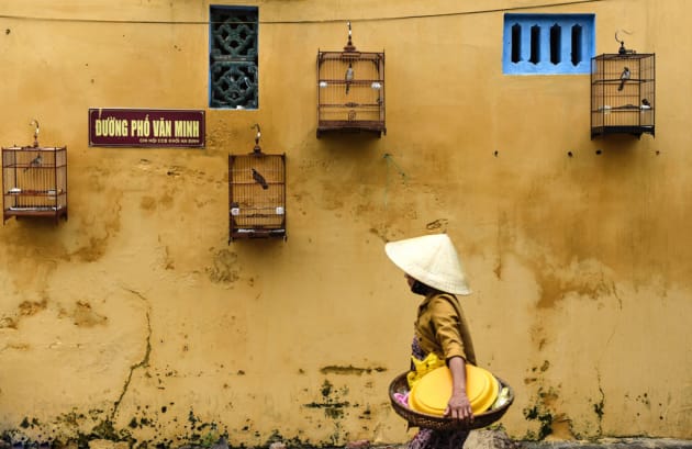 Birds On A Wall by Catherine Matthys