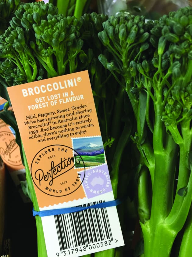 Broccolini.jpg