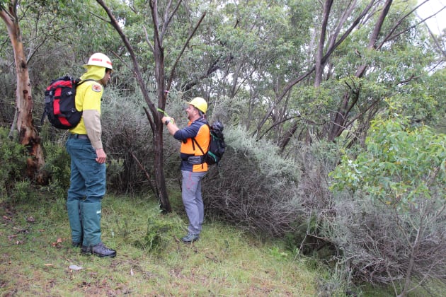 It's over a year since work began on the Thredbo Valley Track extension and the first section is now ready to ride.