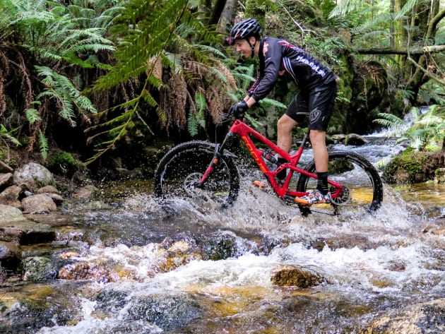 Olympian Scott Bowden on the new Blue Tier trail.