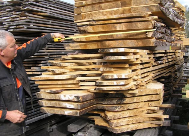 Richard-Parsons-sawmiller-measuring-stripped-out-Outaniqua-Yellowwood-boards.jpg