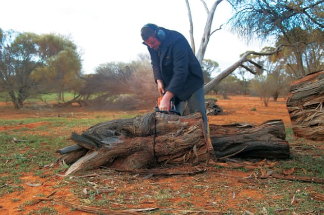 TimberTrip_PeteMcCurley-chainsaw.jpg