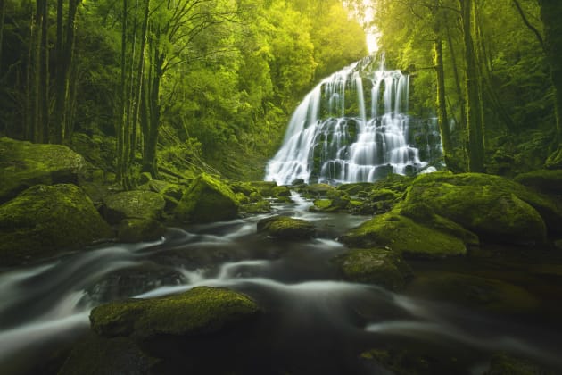 I had visited Nelson Falls a year earlier but the water levels were low and the falls were only a trickle. This year I rounded a corner to see them in full swing through the incredibly lush, green forest. 
Sony A7r, Canon 16-35mm F2.8 II @ 16mm, 1s @ f16, ISO 100.