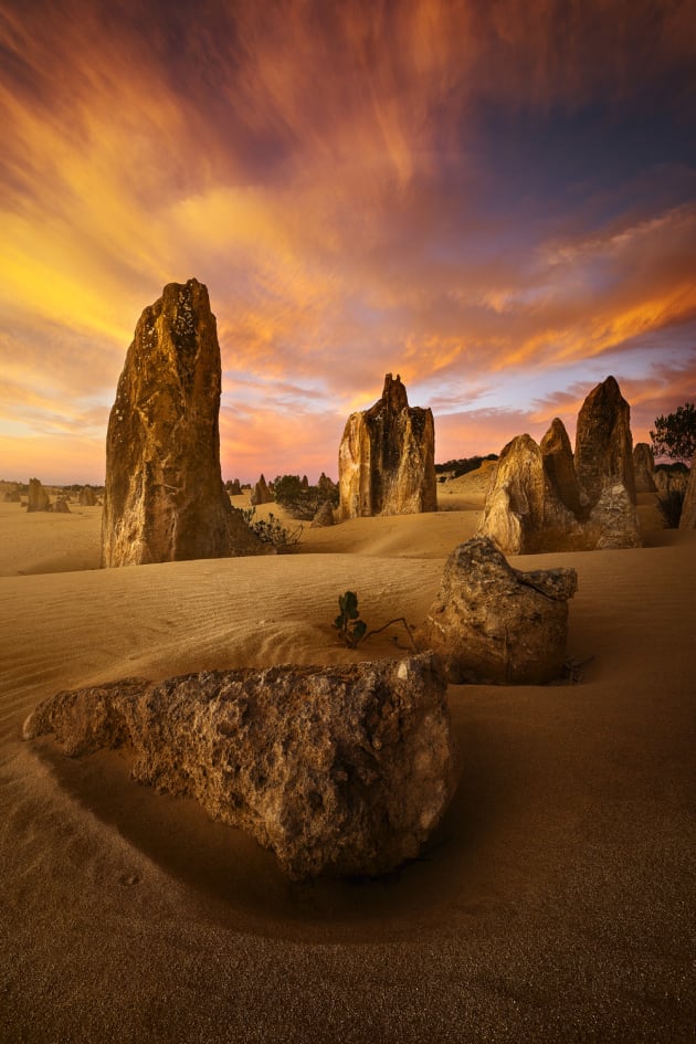 After approximately 10 individual trips to the Pinnacles Desert, I finally managed to be there on an evening when the sky lit up. 
Sony A7r, Canon 16-35mm F2.8 II @ 16mm, 1/8s @ f16, ISO 50.