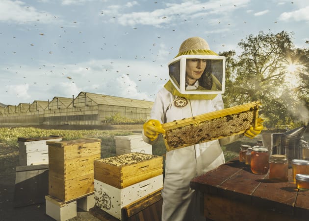 © Chris Crisman. Bee keeper on location with real bees, in Los Angeles. Part of the Own it campaign for Intuit Quickbooks.