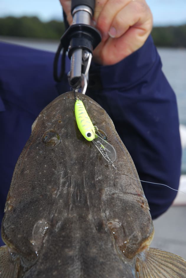 Bright solid colours, especially those with a bit of flash or fluorescence, are the go-to lure patterns for lizards.