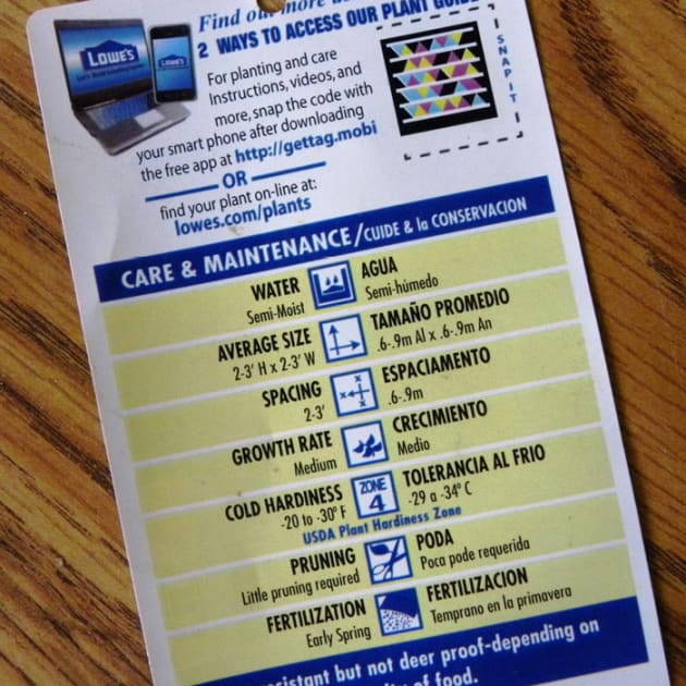 Orora Visual's plant tags open digital doors PKN Packaging News