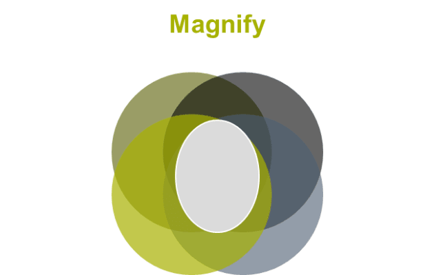 Magnify