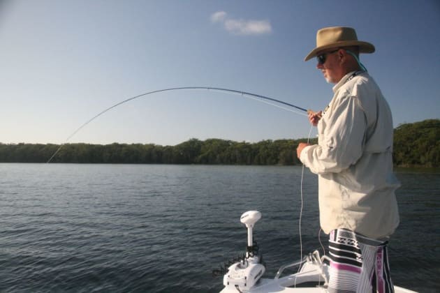 temple fork outfitters ticr x fly rod