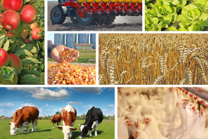 Applications open for $4m traceability grant round