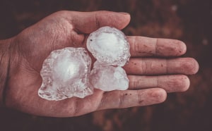 UNSW report hail damage could become more common