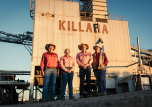 AMG acquires Killara Feedlot from Elders