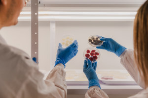 Metaphor Foods brings Novella cell-based preservatives to APAC