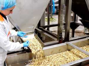 Higher prices deliver rebound for Select Harvests