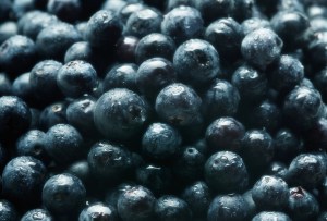 Vietnamese market access opens up for Aussie blueberries