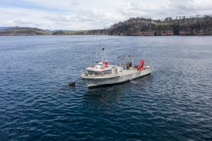 Sea Forest to list on ASX, completes $20.5m capital raise