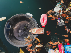 Magnum backs Seabin to tackle harbour litter