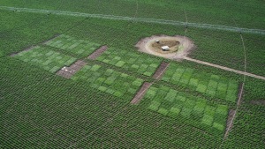PepsiCo acquires Dowling Agritech