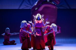 alt text for this image