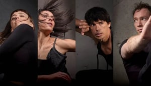 alt text for this image