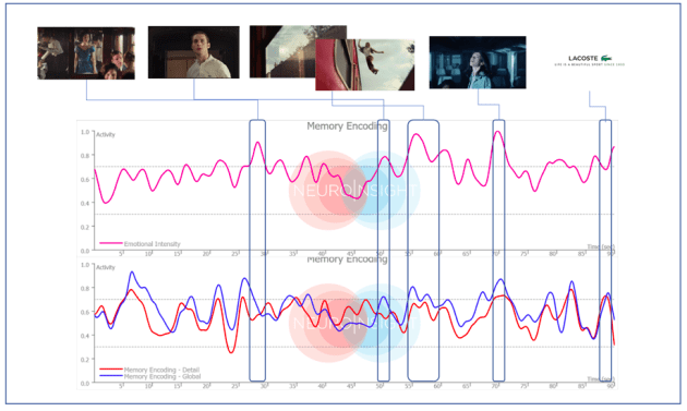 Neuro Insight Lacoste chart 2