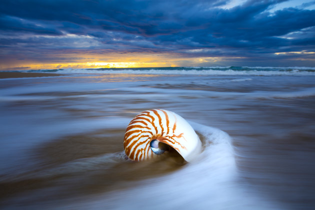 Fraser island © Darran Leal