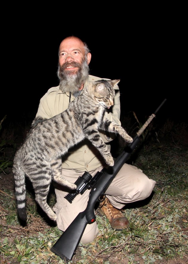 Neil Schultz wrote a fantastic article on the feral cat threat in Australia and how he deals with them.